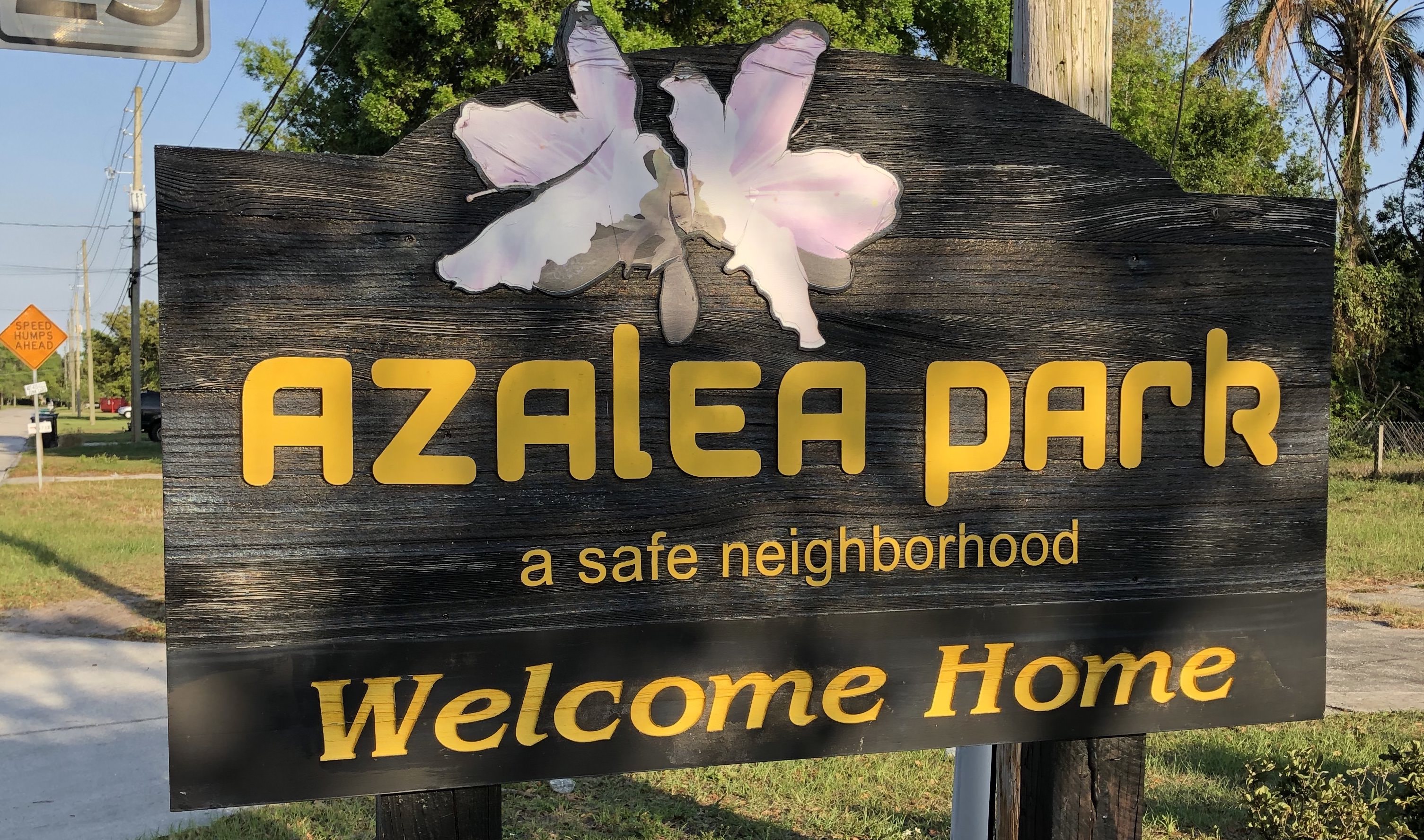 The Azalea Project